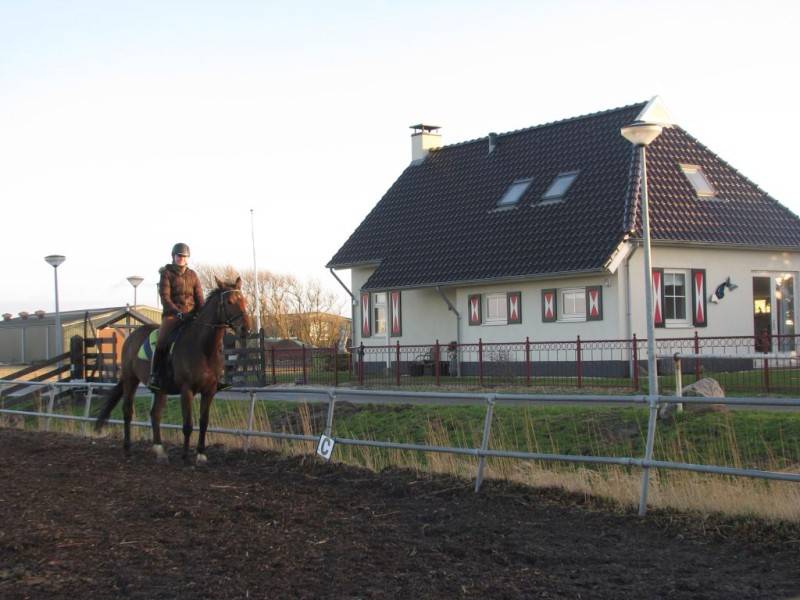 Met Paard op Vakantie paardrijden op het strand
